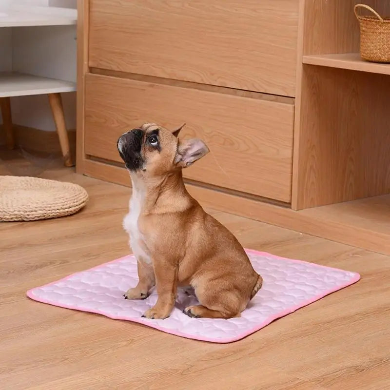 Pet Cooling Mat | Breathable Summer Pad for Dogs & Cats