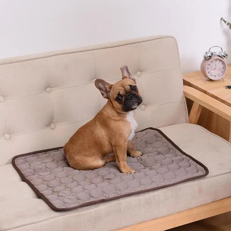 Pet Cooling Mat | Breathable Summer Pad for Dogs & Cats