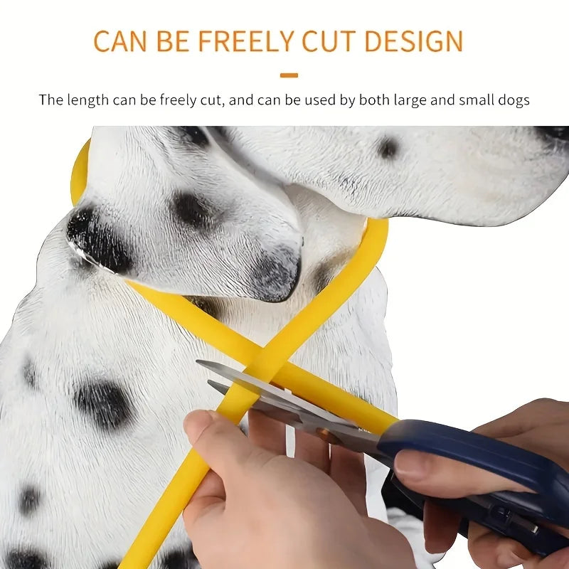 LED Dog Collar | USB Rechargeable | Safe Night Walks