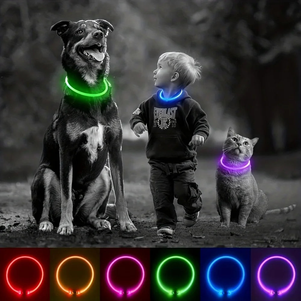 LED Dog Collar | USB Rechargeable | Safe Night Walks