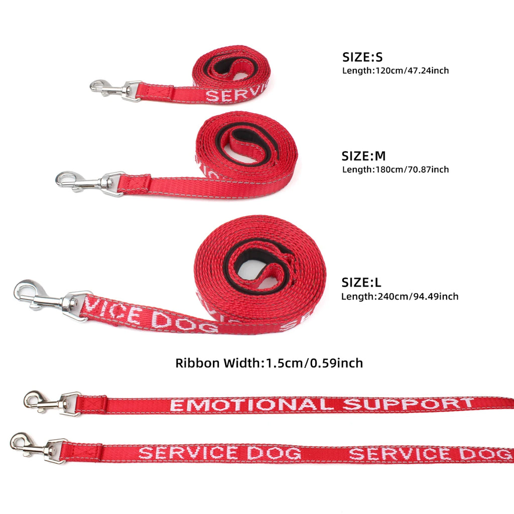 Red Dog Leash for Small & Medium Dogs — Outdoor Walking & Running