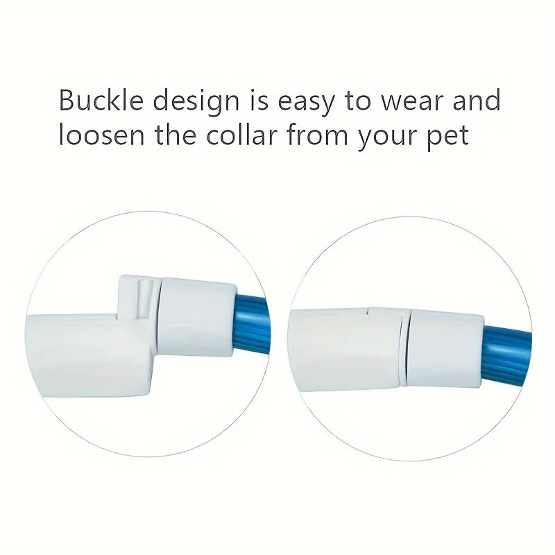 LED Dog Collar | USB Rechargeable | Safe Night Walks