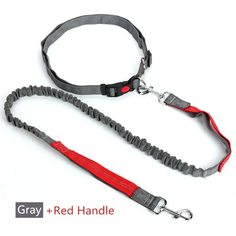 Hands-Free Dog Leash with Waist Belt — Running & Jogging for Large Dogs