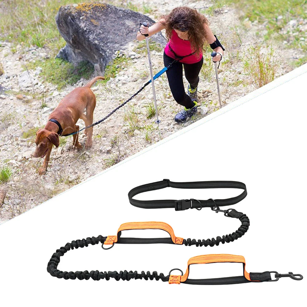 Hands-Free Elastic Dog Leash — Reflective & Retractable for Running