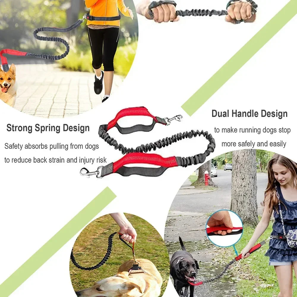 Hands-Free Dog Leash with Waist Belt — Running & Jogging for Large Dogs