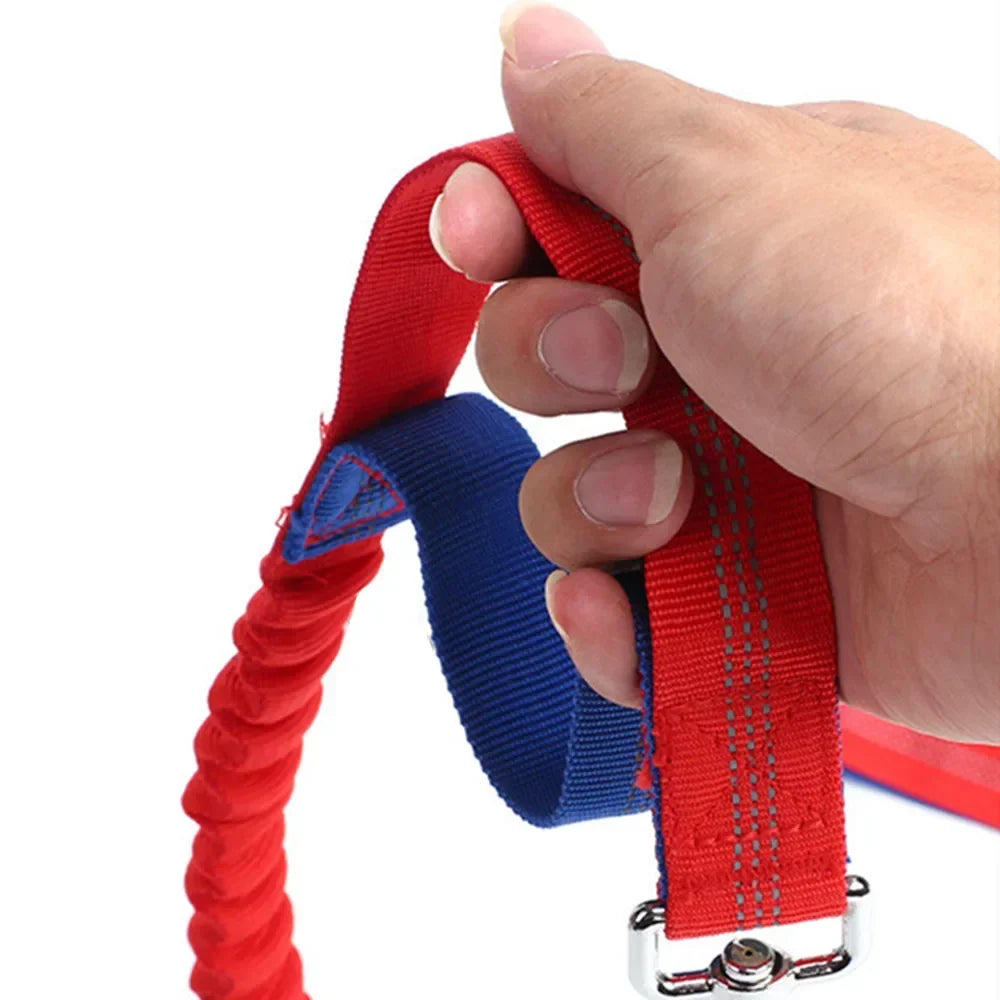 Hands-Free Dog Leash with Waist Belt — Running & Jogging for Large Dogs