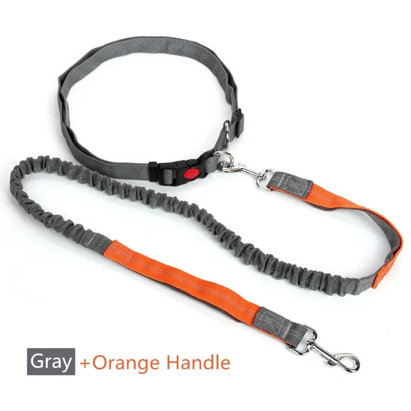 Hands-Free Dog Leash with Waist Belt — Running & Jogging for Large Dogs