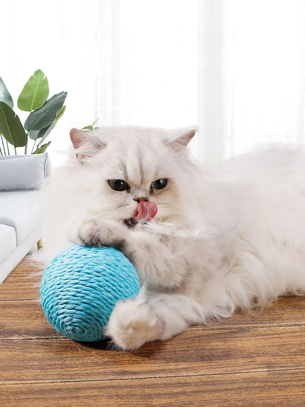 Sisal Cat Scratching Ball — Interactive Toy for Kittens & Cats