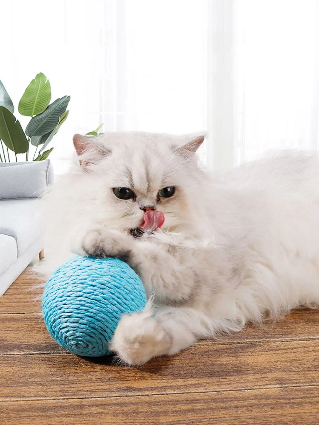 Sisal Cat Scratching Ball — Interactive Toy for Kittens & Cats