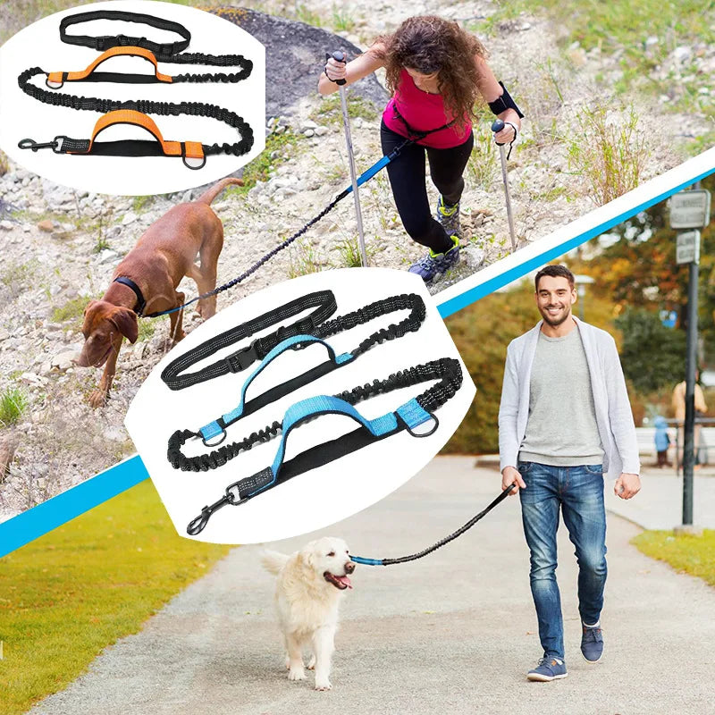 Hands-Free Elastic Dog Leash — Reflective & Retractable for Running