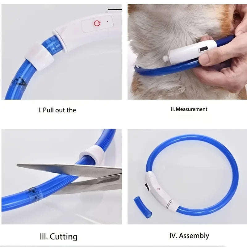LED Dog Collar | USB Rechargeable | Safe Night Walks