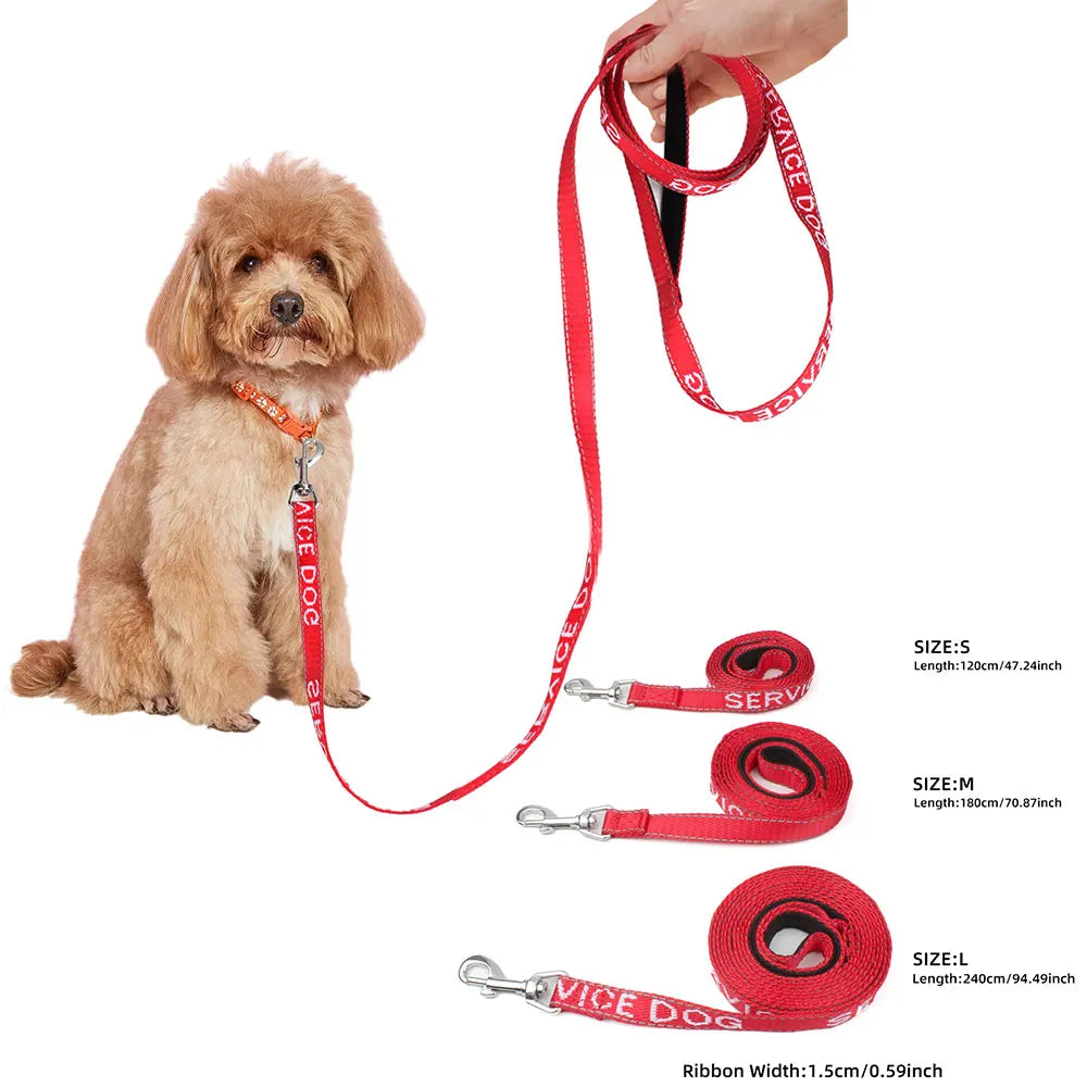 Red Dog Leash for Small & Medium Dogs — Outdoor Walking & Running