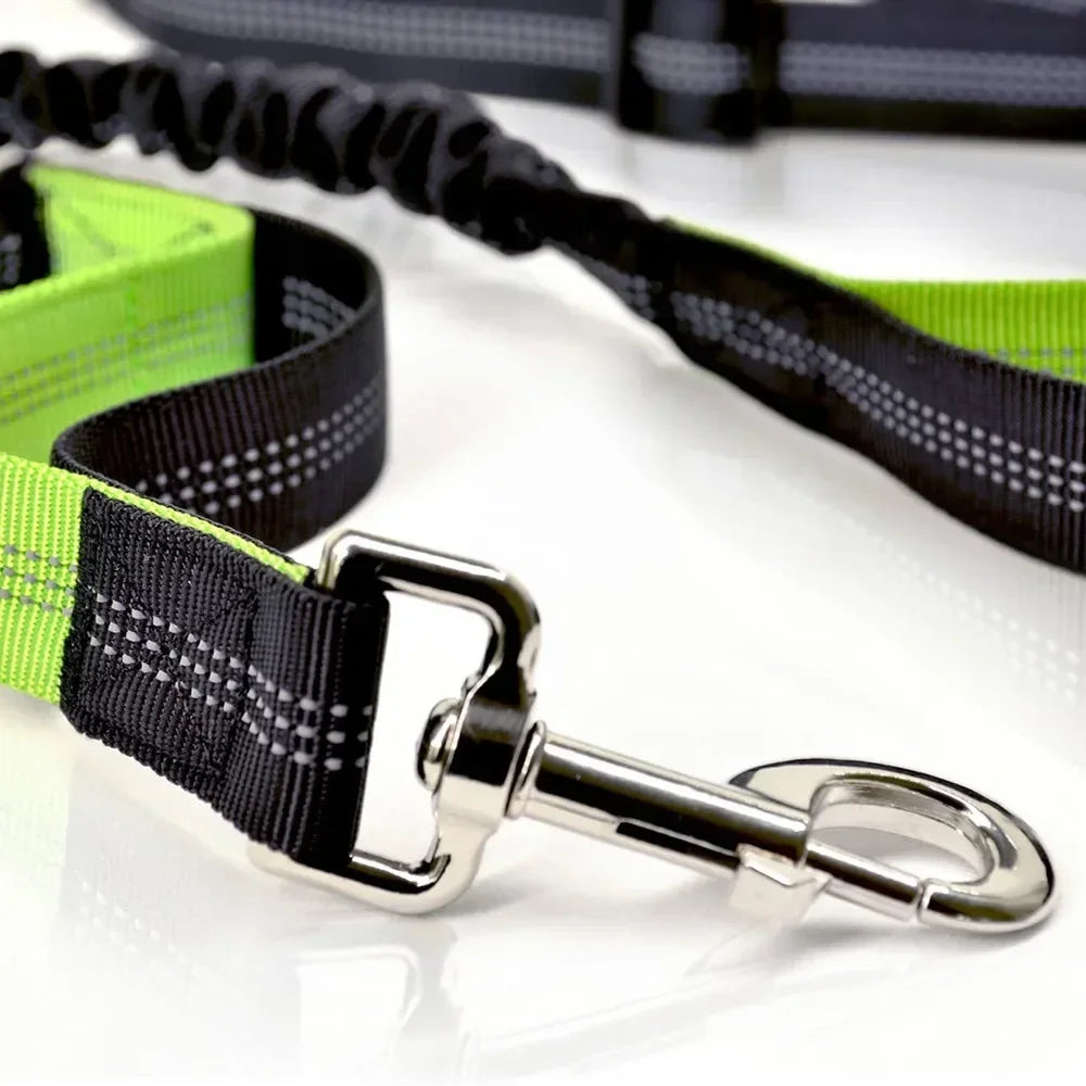 Hands-Free Dog Leash with Waist Belt — Running & Jogging for Large Dogs