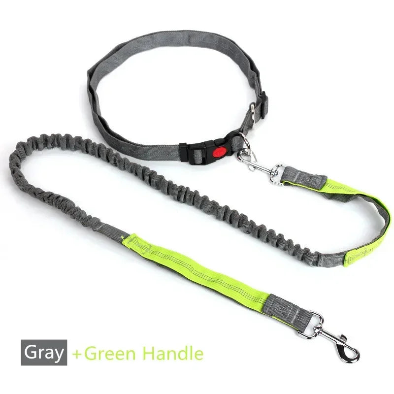Hands-Free Dog Leash with Waist Belt — Running & Jogging for Large Dogs