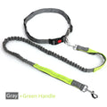 Hands-Free Dog Leash with Waist Belt — Running & Jogging for Large Dogs