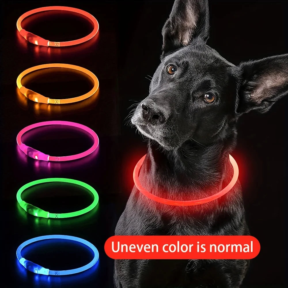 LED Dog Collar | USB Rechargeable | Safe Night Walks