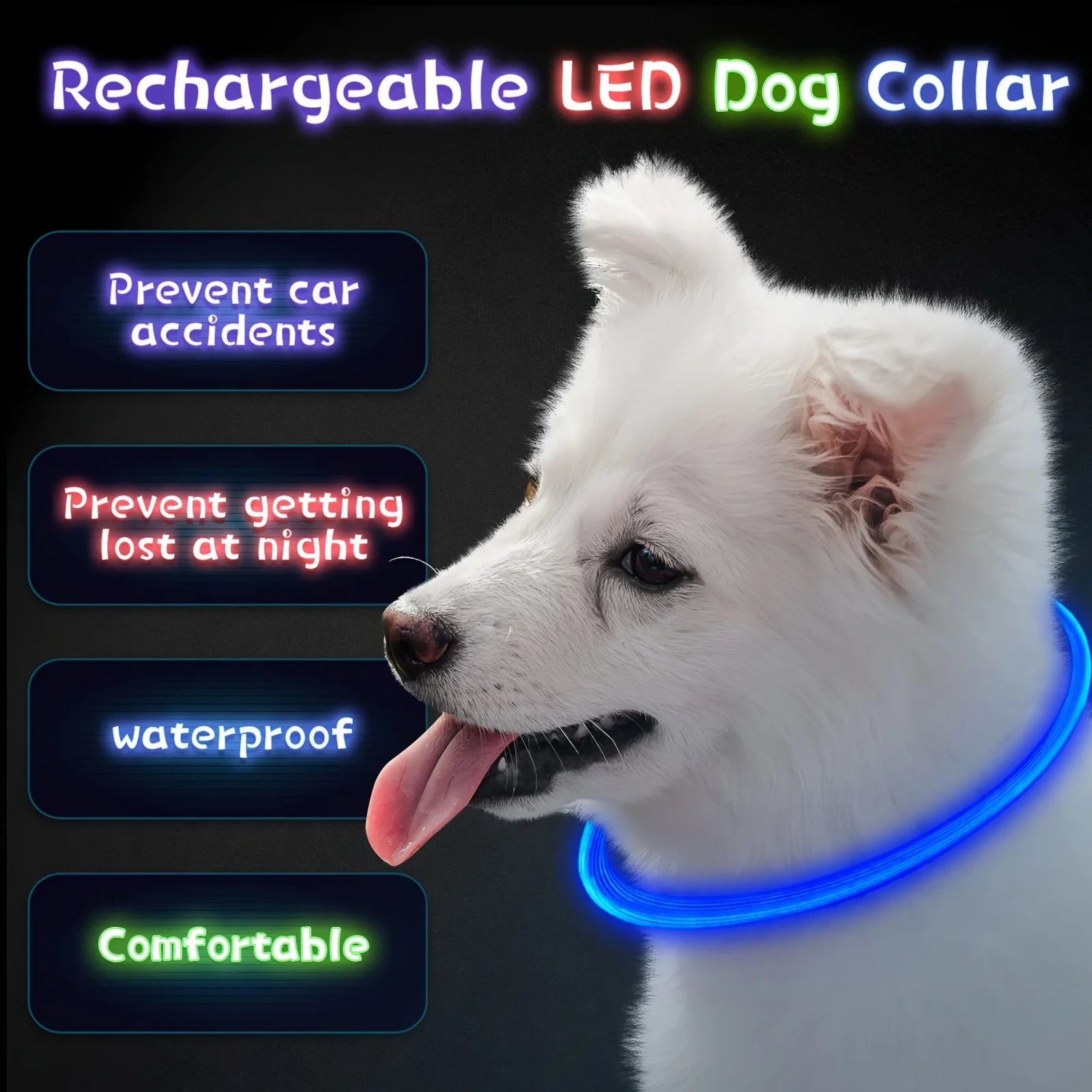 LED Dog Collar | USB Rechargeable | Safe Night Walks