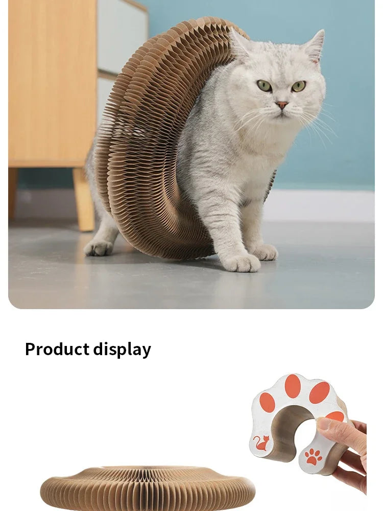 Organ Cat Scratching Board — Foldable Interactive Toy with Bell for Kittens & Cats