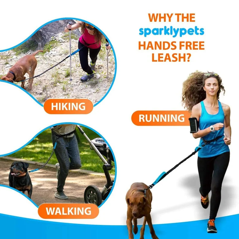 Hands-Free Elastic Dog Leash — Reflective & Retractable for Running
