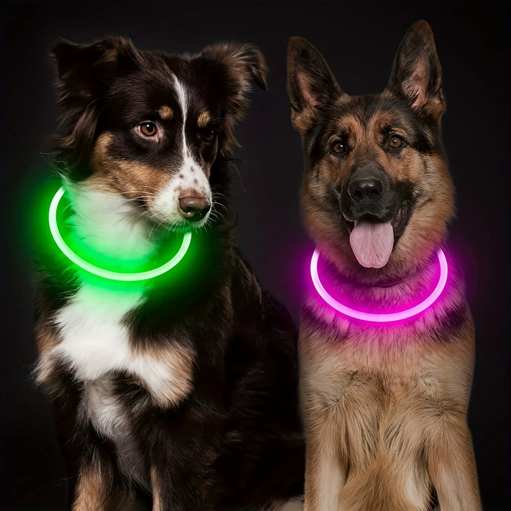 LED Dog Collar | USB Rechargeable | Safe Night Walks