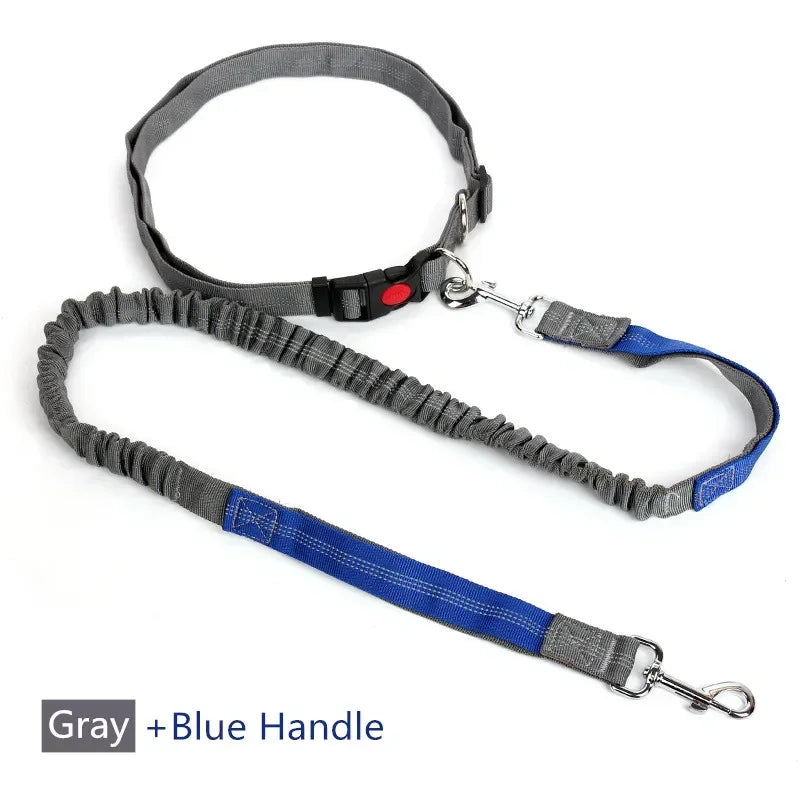 Hands-Free Dog Leash with Waist Belt — Running & Jogging for Large Dogs
