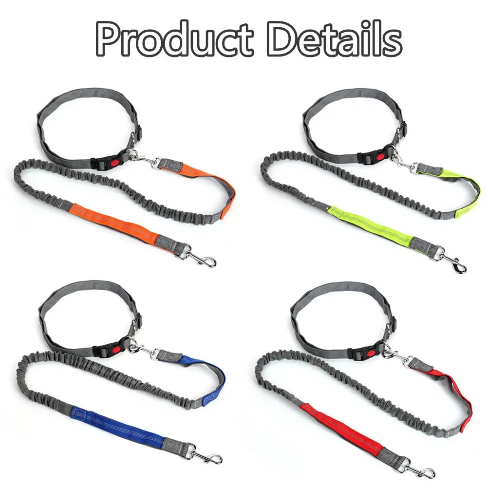 Hands-Free Dog Leash with Waist Belt — Running & Jogging for Large Dogs