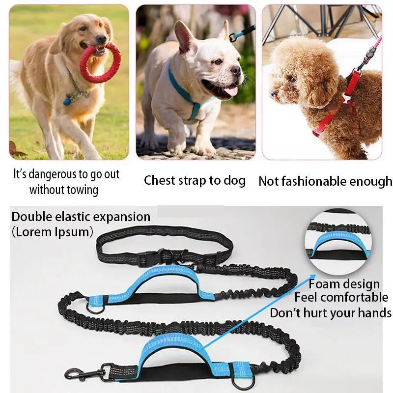 Hands-Free Elastic Dog Leash — Reflective & Retractable for Running