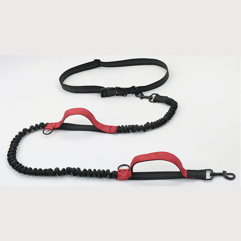 Hands-Free Elastic Dog Leash — Reflective & Retractable for Running