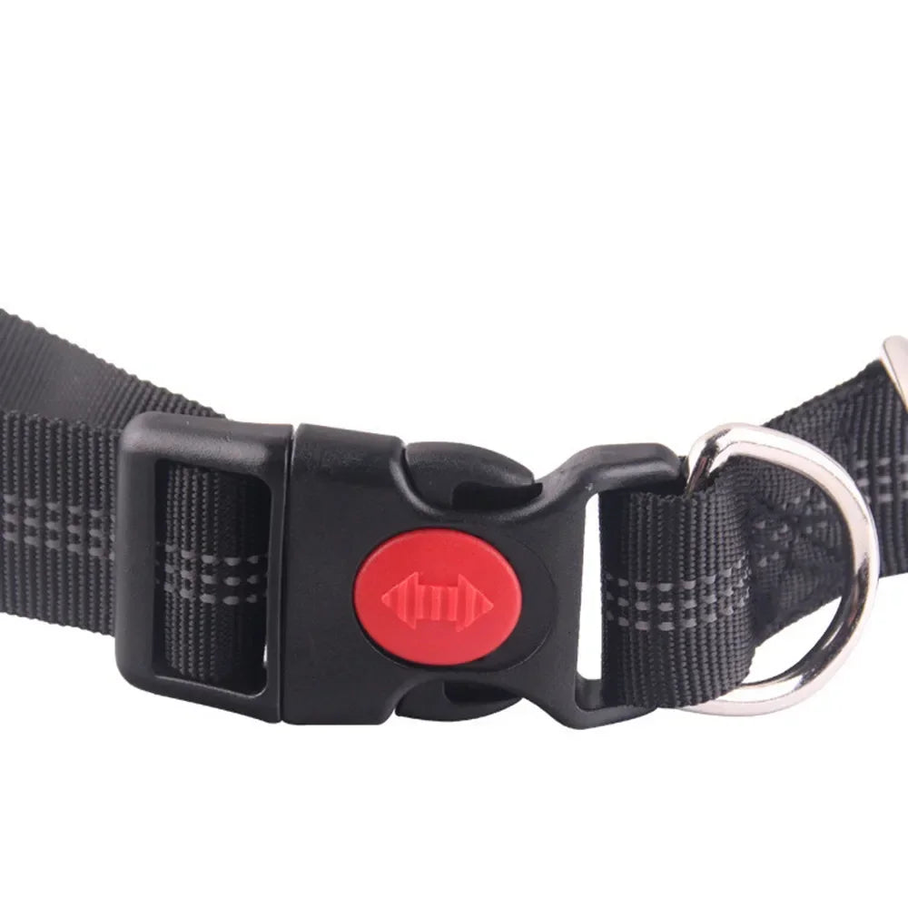 Hands-Free Dog Leash with Waist Belt — Running & Jogging for Large Dogs