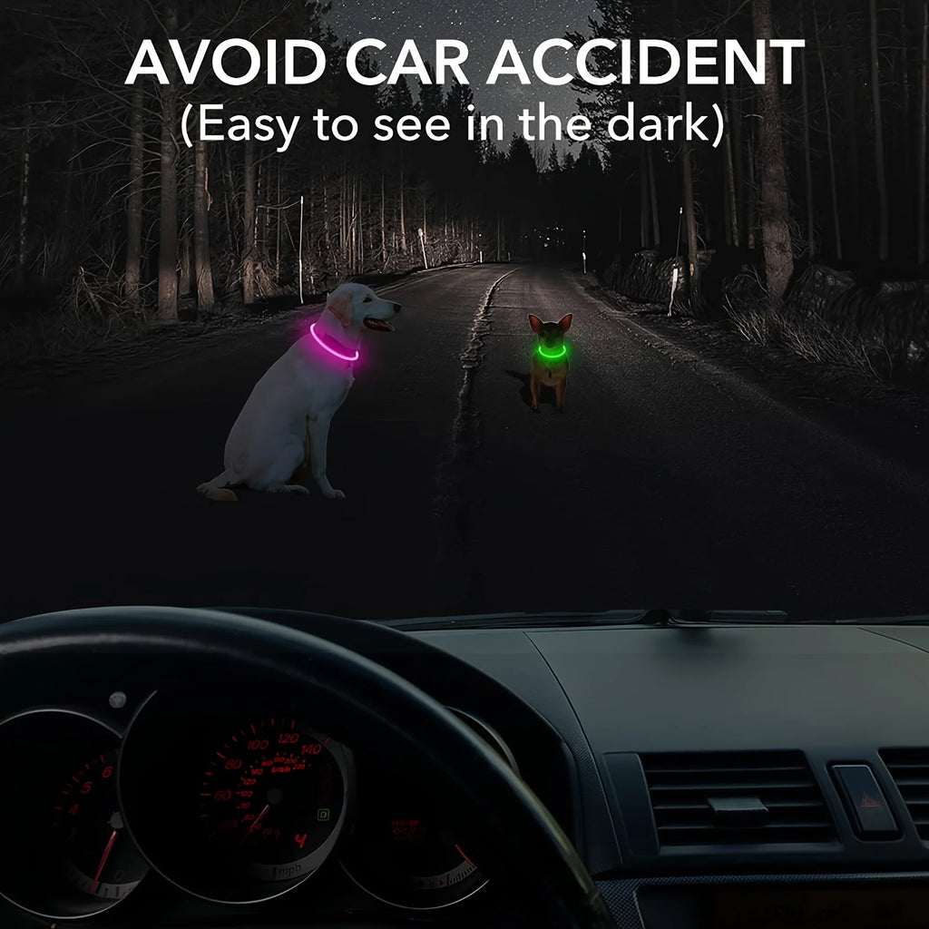 LED Dog Collar | USB Rechargeable | Safe Night Walks