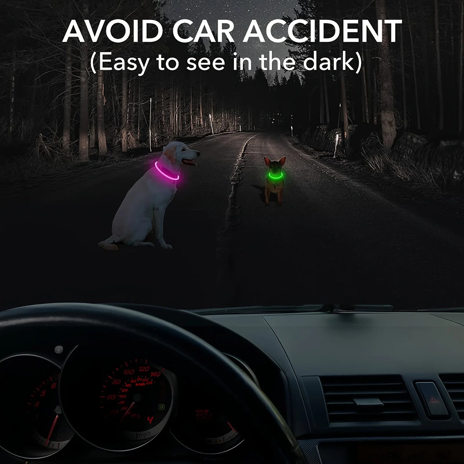 LED Dog Collar | USB Rechargeable | Safe Night Walks
