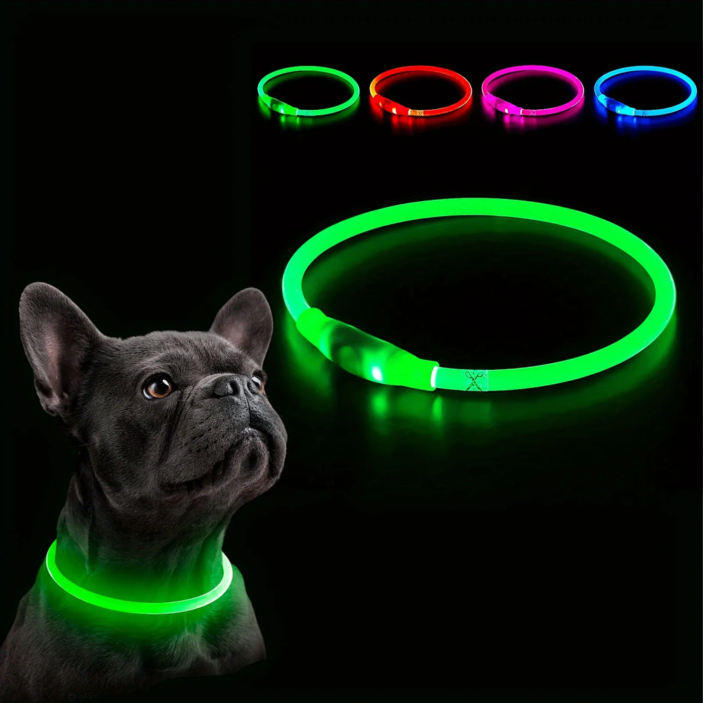 LED Dog Collar | USB Rechargeable | Safe Night Walks