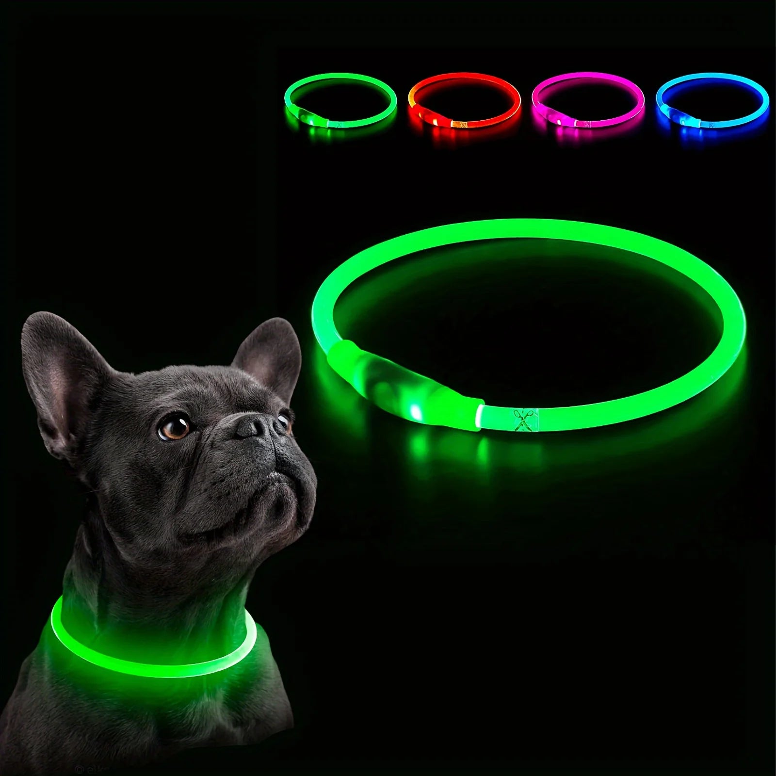 LED Dog Collar | USB Rechargeable | Safe Night Walks