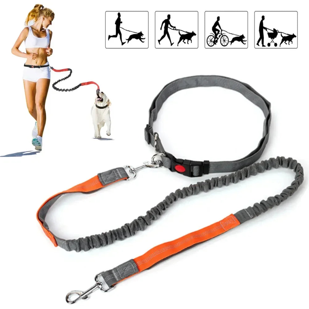 Hands-Free Dog Leash with Waist Belt — Running & Jogging for Large Dogs