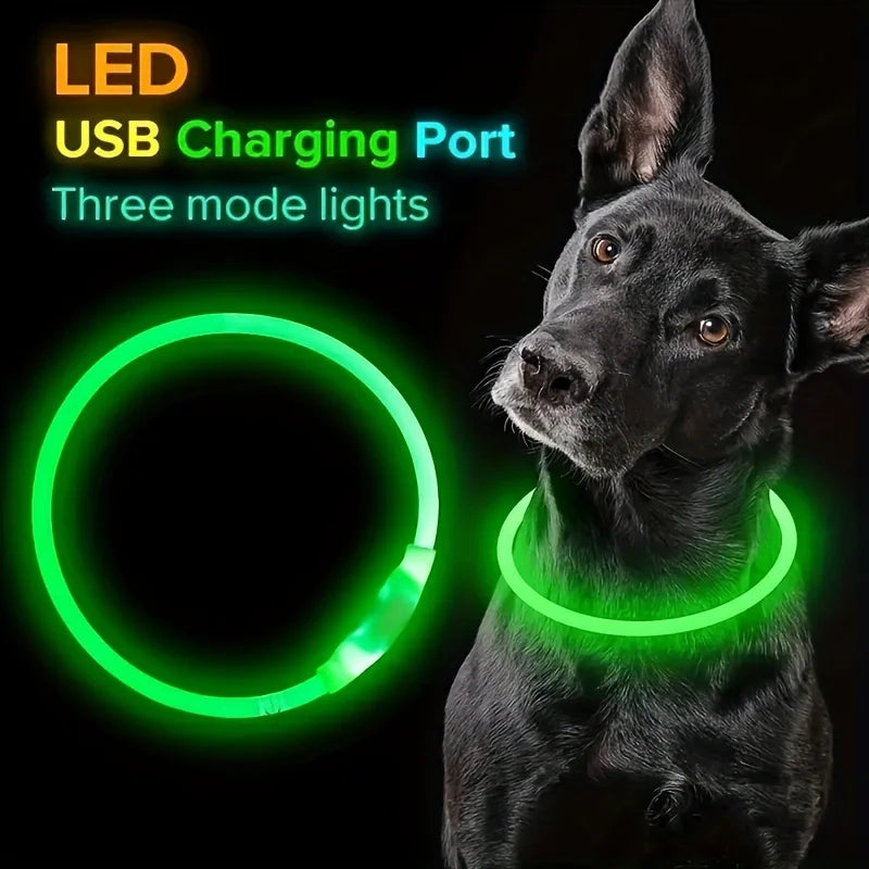 LED Dog Collar | USB Rechargeable | Safe Night Walks