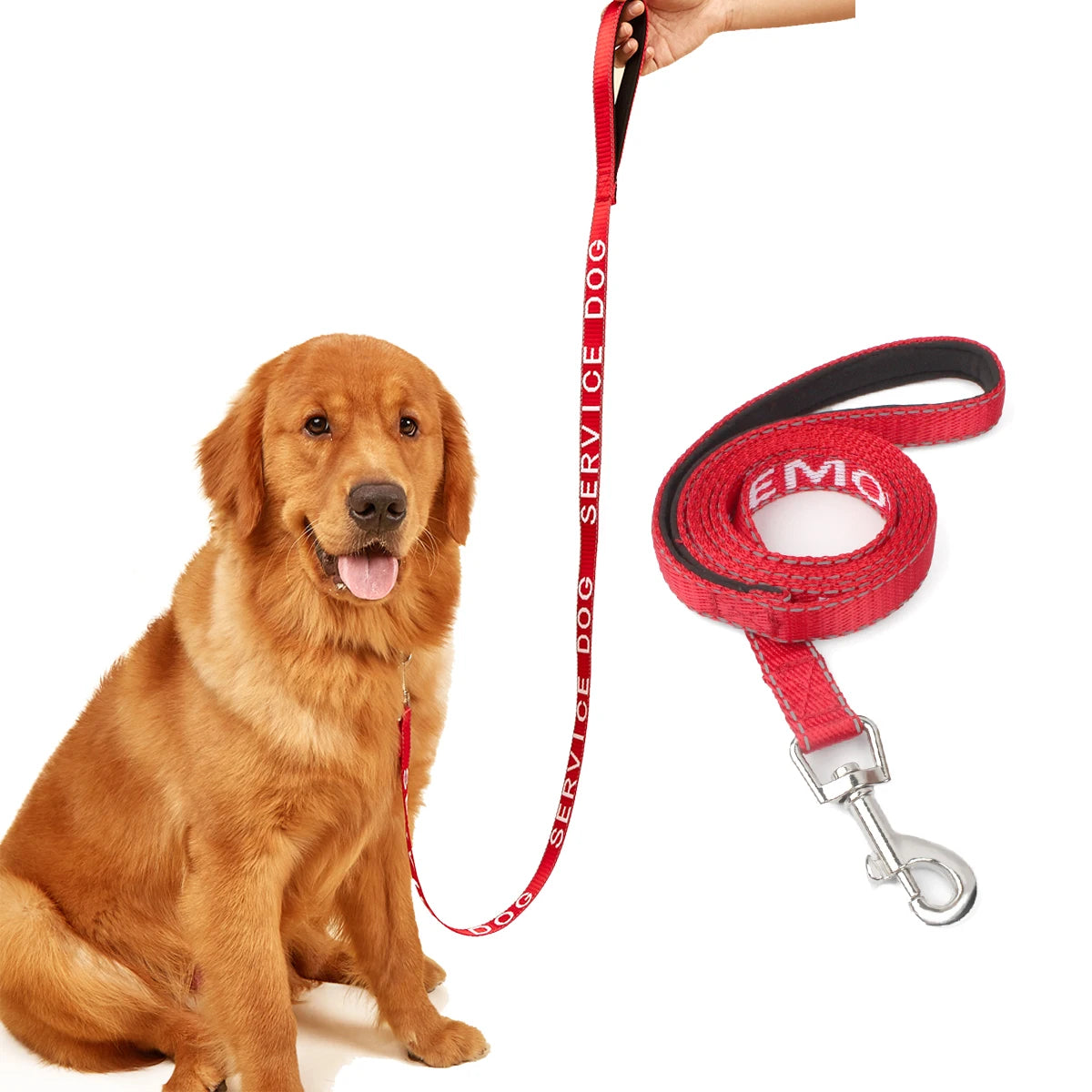 Red Dog Leash for Small & Medium Dogs — Outdoor Walking & Running