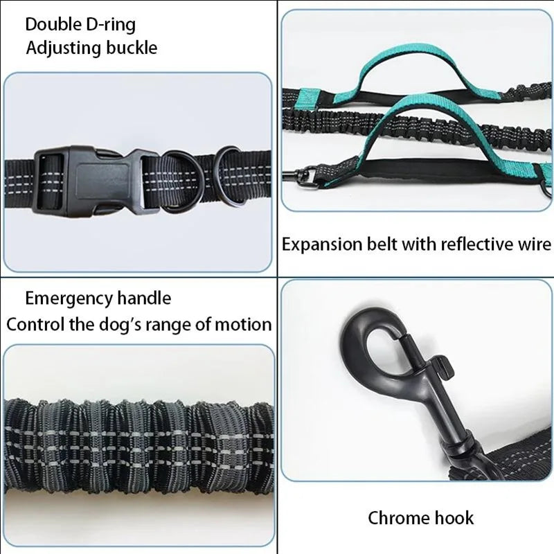 Hands-Free Elastic Dog Leash — Reflective & Retractable for Running