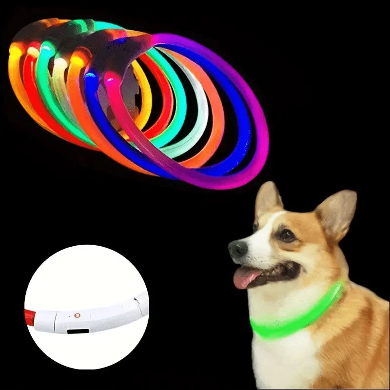 LED Dog Collar | USB Rechargeable | Safe Night Walks